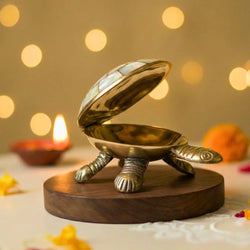 Brass Tortoise with Mother of Pearl Inlay