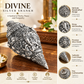 Lord Ganesha Shankh (Conch) - Pure Silver Plated (5 Inch)
