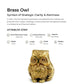 Pure Brass Owl Figurine – Wisdom & Protection - SwastikKripa | Pure Brass Idols | Home Decor & Gifting | Free Shipping.