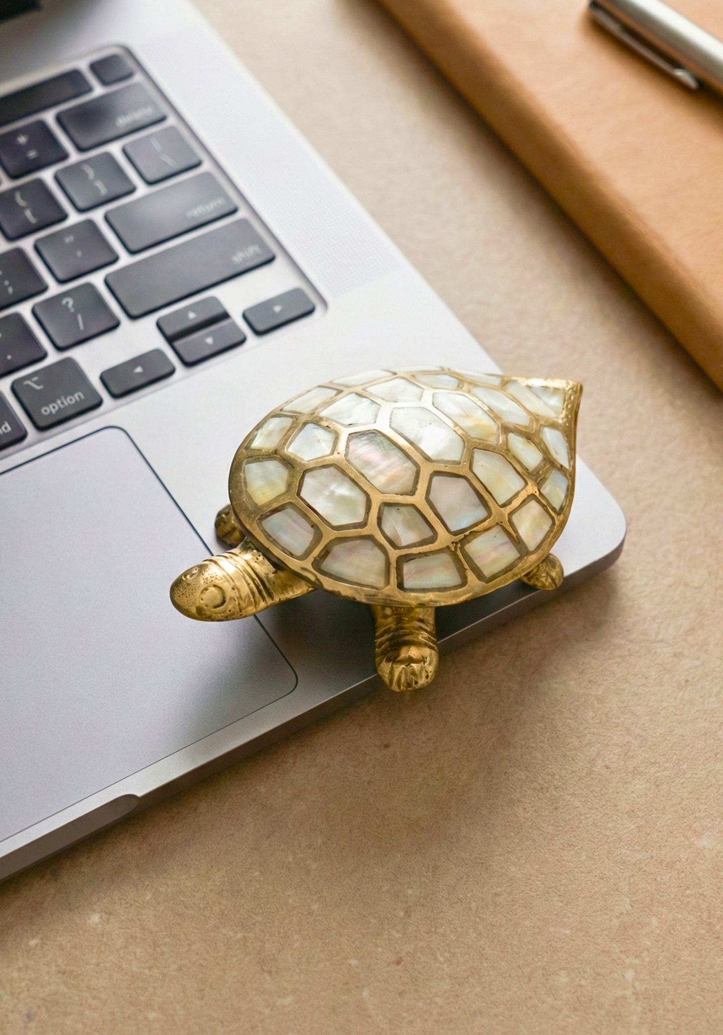 Brass Tortoise with Mother of Pearl Inlay | Vastu & Feng Shui Wealth Symbol